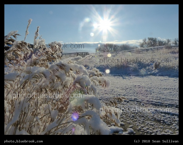Snowy Morning - Corvallis MT