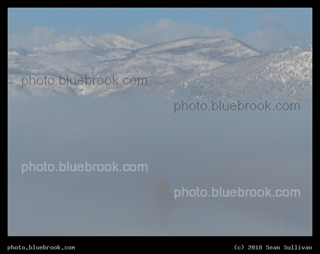 Fog Layer - Corvallis MT