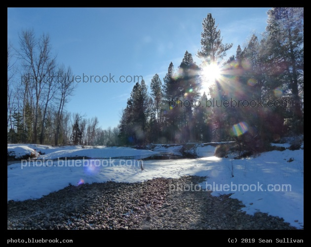 River Pebbles, Evergreens, and Sun - Chief Looking Glass, Florence MT