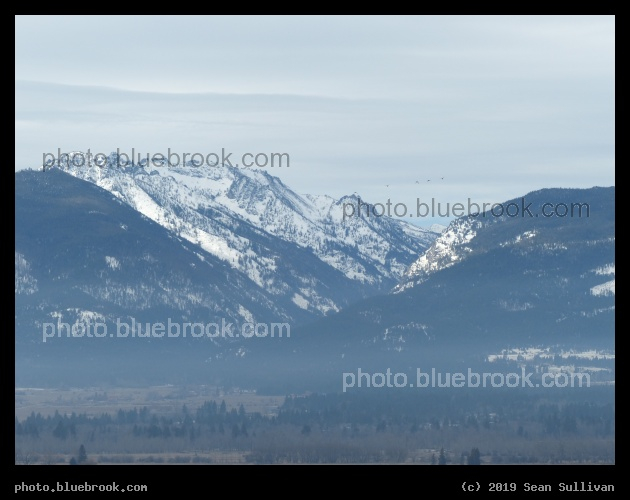 Valley to Mountains - Corvallis MT