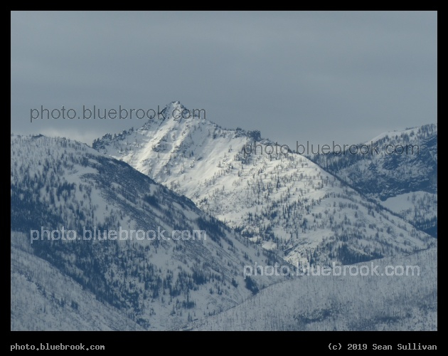 Gleaming Snowy Mountains - Corvallis MT