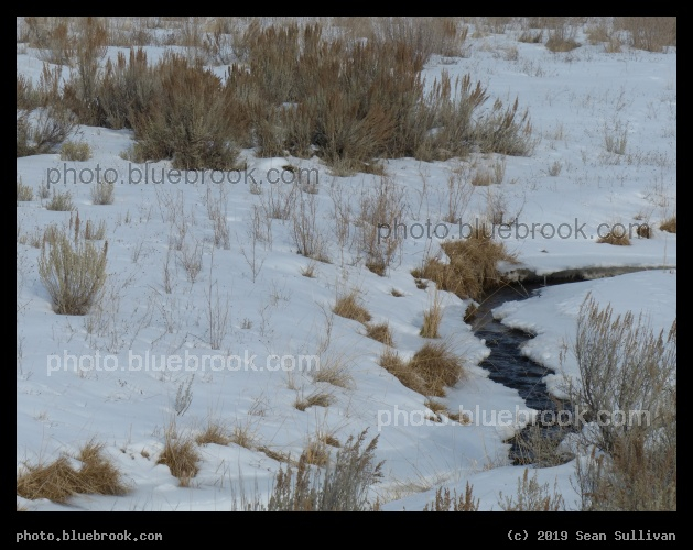 Landscape of Winter Stream - Corvallis MT