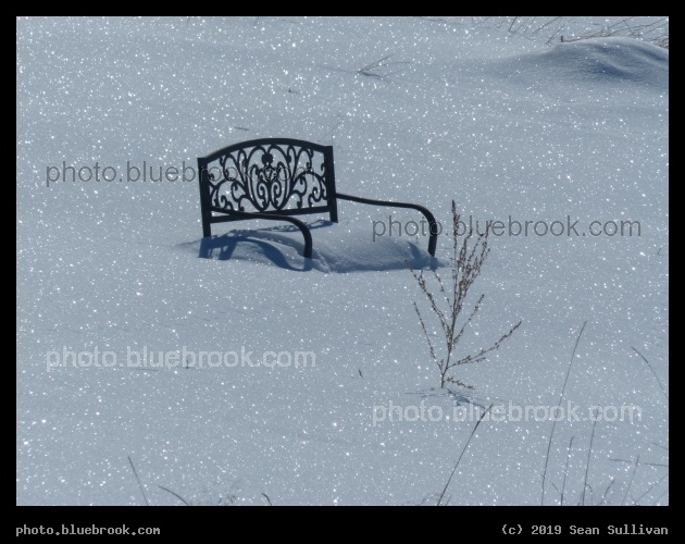 Garden Bench of Winter Solitude - Corvallis MT