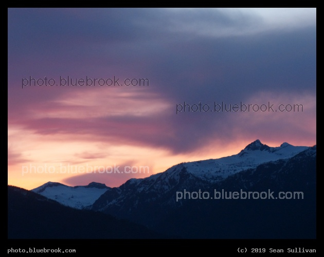 Designer Color Sunset - Corvallis MT