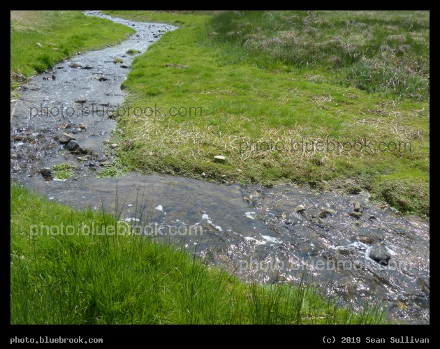 Stream through Emerald Grasses - Corvallis MT