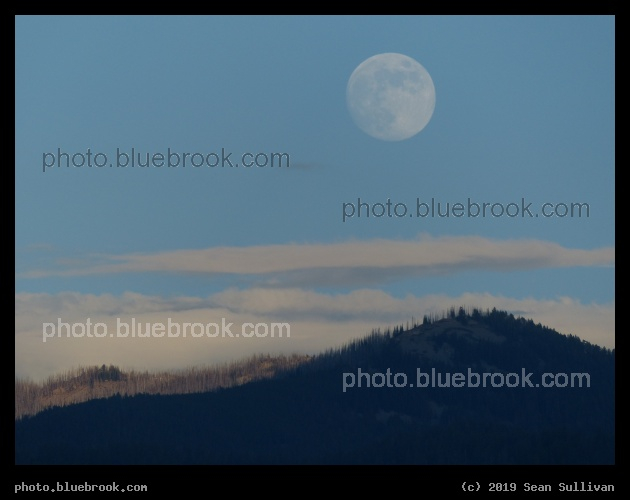 June Moon Rising - Corvallis MT