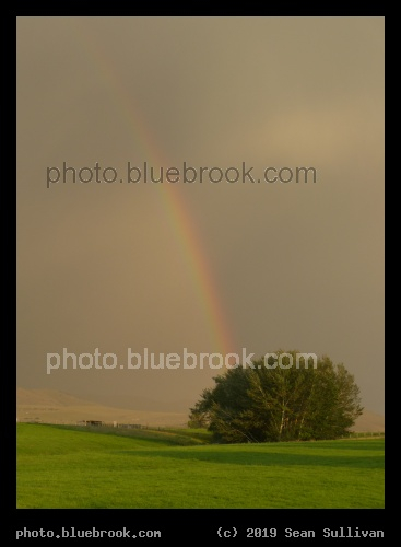 Rainbow in an Evening Storm - Corvallis MT