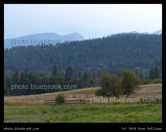 Mountains on Grazing Sightlines - Victor MT