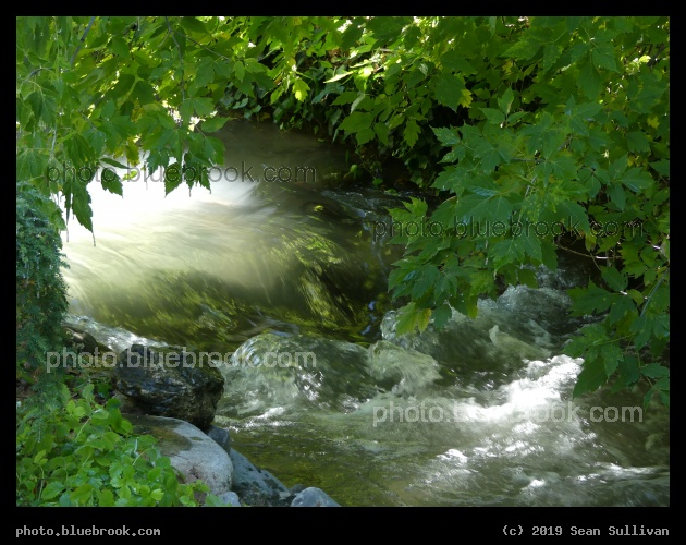 Flowing Water - Mill Creek, Salt Lake City UT