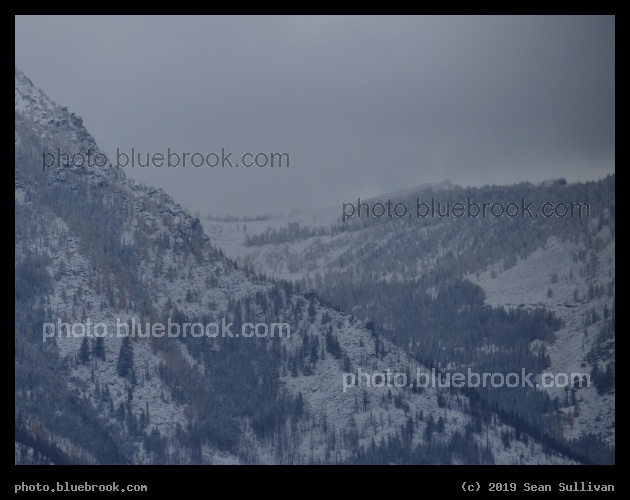 Gray Winter Slopes - Victor MT