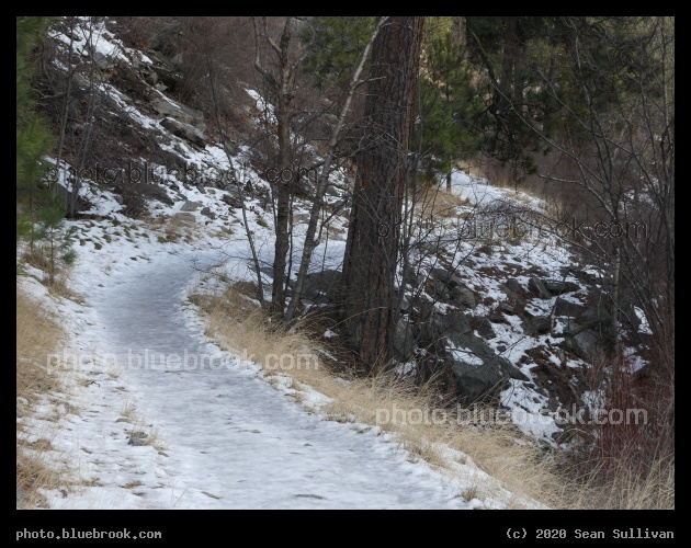 Frozen Trail - Kootenai Creek Trail, Stevensville MT