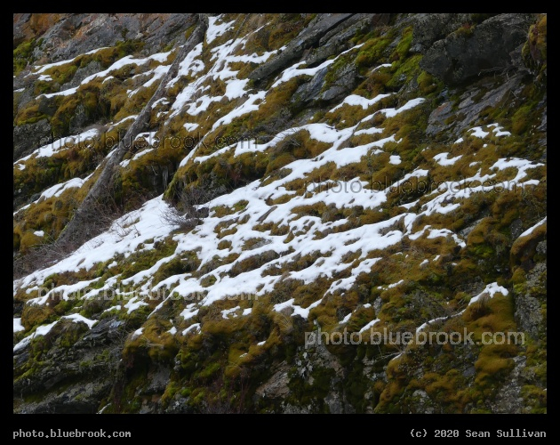 Slope with Snow Highlights - Kootenai Creek Trail, Stevensville MT