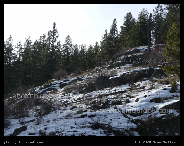 Patchy Snow on Slope - Kootenai Creek Trail, Stevensville MT