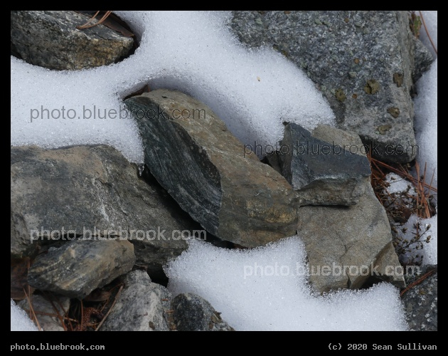 Fallen Fragments - Kootenai Creek Trail, Stevensville MT