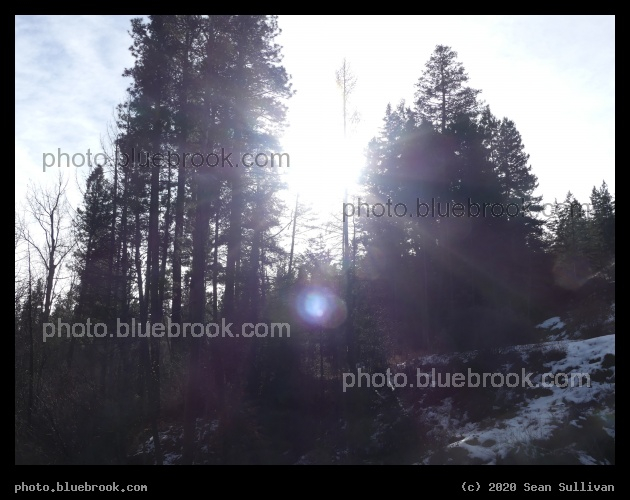 Afternoon Sun near Kootenai Creek - Kootenai Creek Trail, Stevensville MT