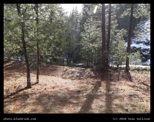 Casting Shadows - Kootenai Creek Trail, Stevensville MT