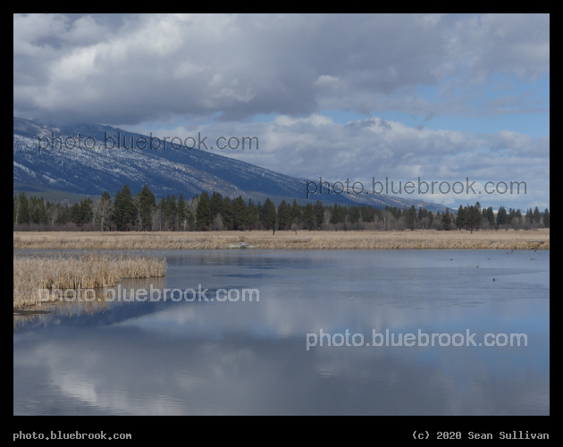 Soft Reflections on a Cloudy Day - Lee Metcalf National Wildlife Refuge, Stevensville MT