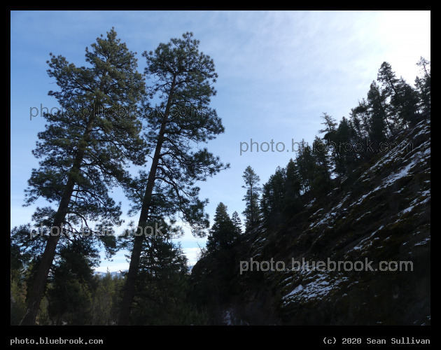 Two Trees abd a Slope - Kootenai Creek Trail, Stevensville MT