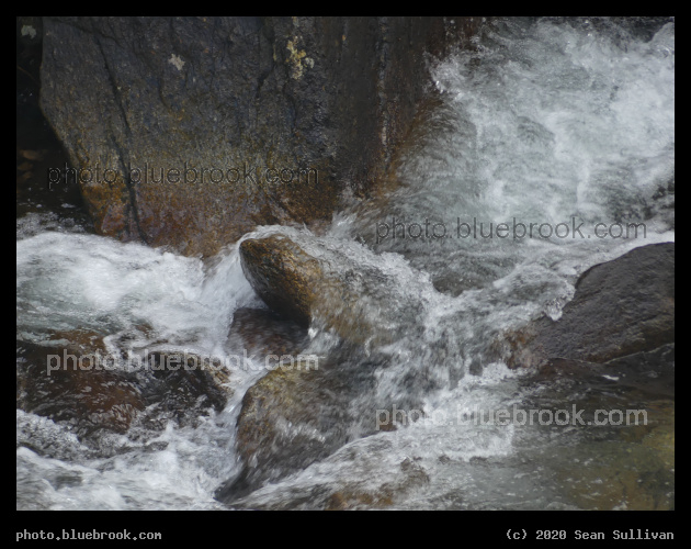 Splash in the Creek - Kootenai Creek, Stevensville MT