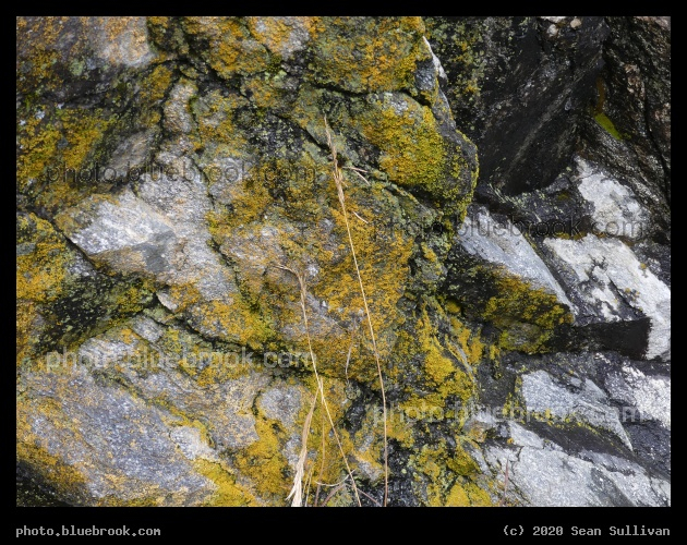 Colorful Mossy Rock Wall - Kootenai Creek Trail, Stevensville MT