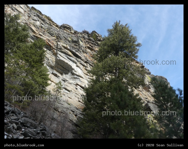 Trees below Rock - Kootenai Creek Trail, Stevensville MT