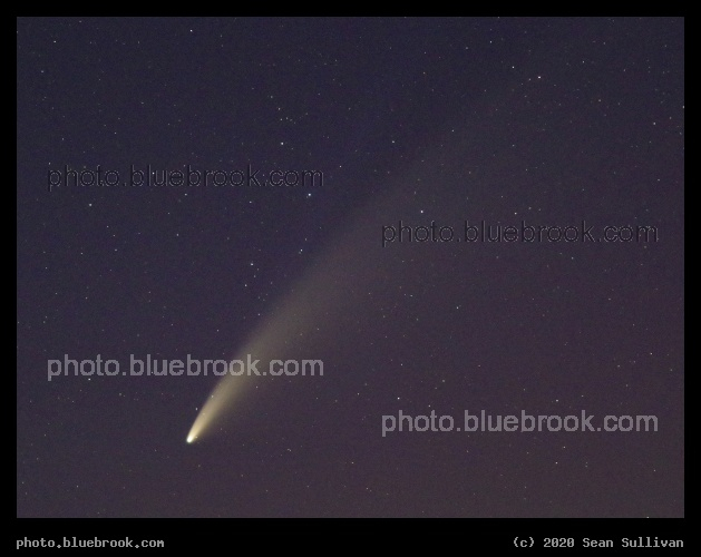 Comet in Lynx - Comet NEOWISE, Corvallis MT