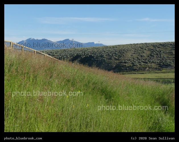 Grasses, Hills, and Mountains - Corvallis MT