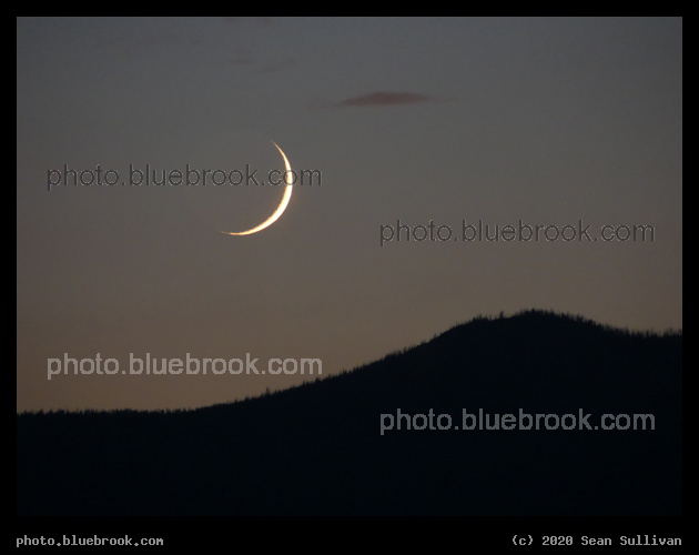 August Crescent Moon - Corvallis MT