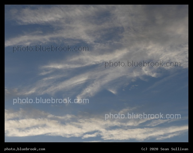 Wisps in a Blue Sky - Corvallis MT