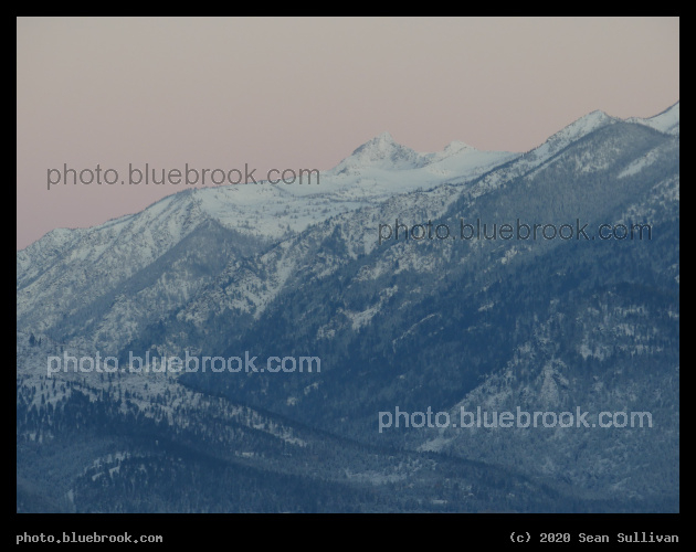 Pink Blush over a Blue Mountain - Corvallis MT