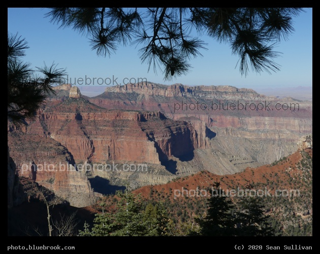 Overview from Under Trees - North Rim, Grand Canyon, AZ