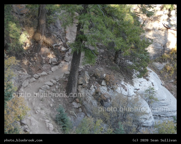 Winding Journey - North Kaibab Trail, North Rim, Grand Canyon, AZ