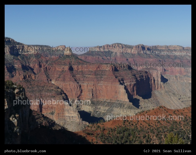 Environment of Red Rocks - North Rim, Grand Canyon, AZ