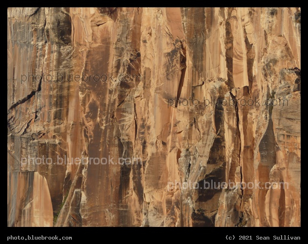 Patterned Wall - North Rim, Grand Canyon, AZ