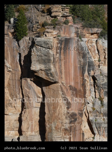 Vertical Elements - North Rim, Grand Canyon, AZ