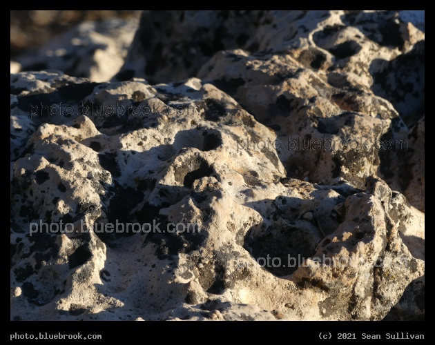 Textured Rock - North Rim, Grand Canyon, AZ