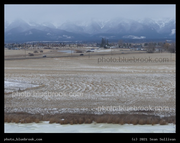 Dusted Fields - Somers, MT