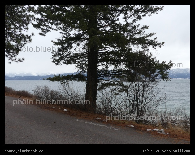 No Parking - West Shore, Flathead Lake, MT