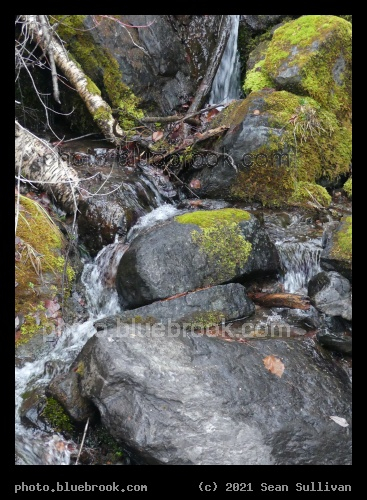 Rippling Waters over Rocks and Moss - Near Crane Creek and Beardance Trailhead, Bigfork MT