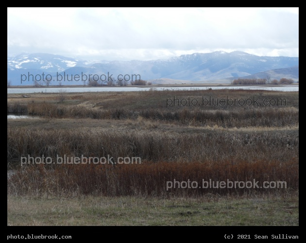 Mountains and Marsh in March - Ninepipe National Wildlife Refuge, Montana