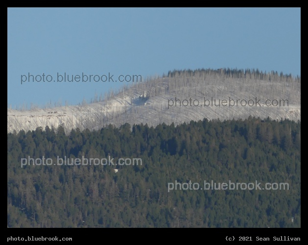 Sapphire Snow in April - Corvallis MT