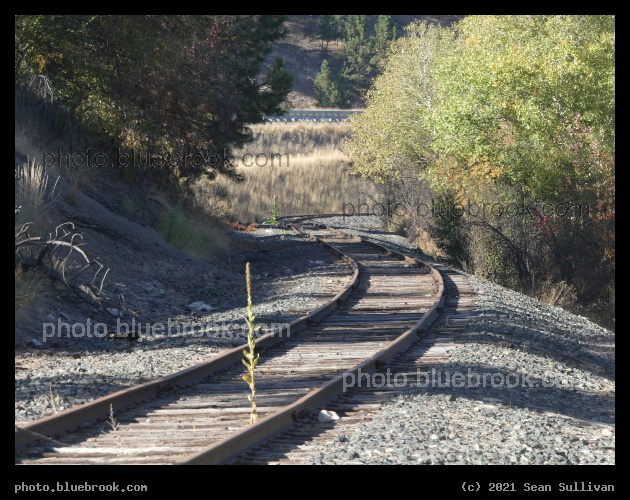 Curving Rails - Lolo MT