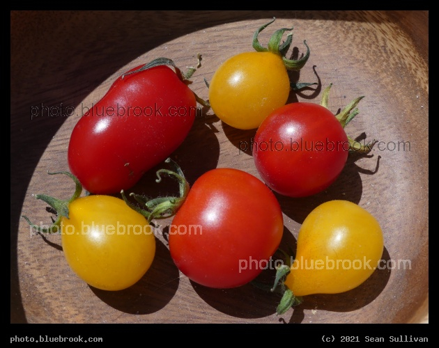 Colorful Little Tomatoes - Corvallis MT