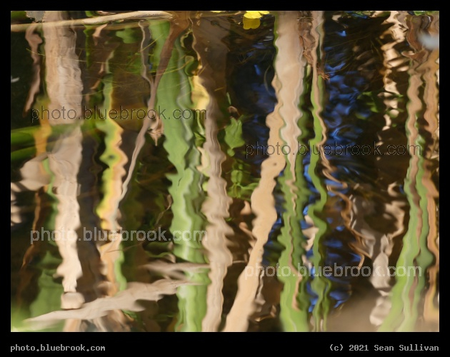 Reflections in a Stream - Corvallis MT