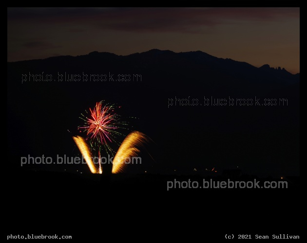 Fireworks Flower - Corvallis MT