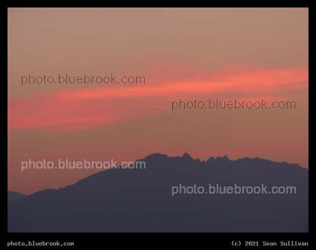 Pink Cloud - Corvallis MT