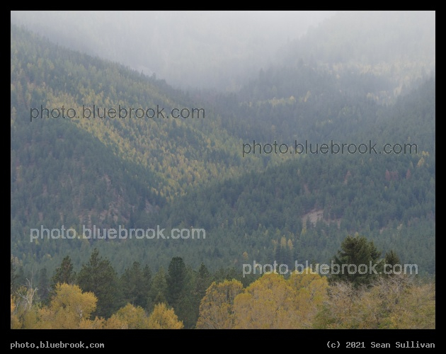 Slopes in Autumn Fog - Corvallis MT