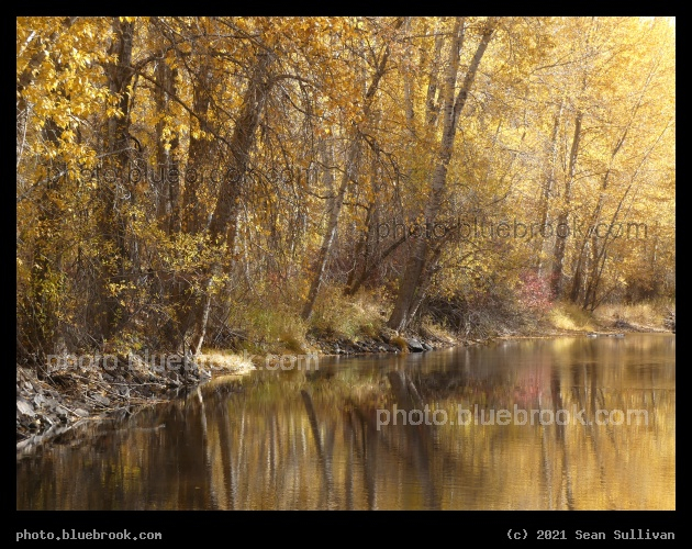 Lolo Creek in Autumn - Lolo MT