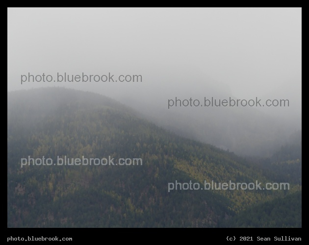 Mountains in the Autumn Mist - Corvallis MT