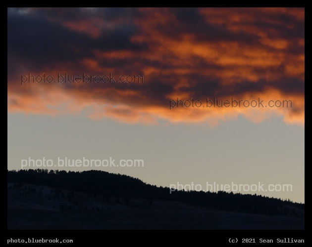 Coral Clouds - Corvallis MT